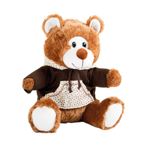 Teddybeer met hoodie